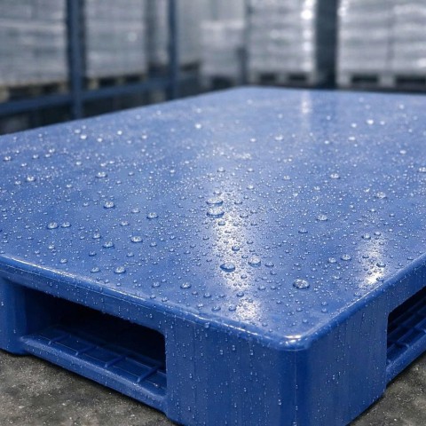 Chọn pallet nhựa đúng tiêu chuẩn cho kho lạnh thế nào?