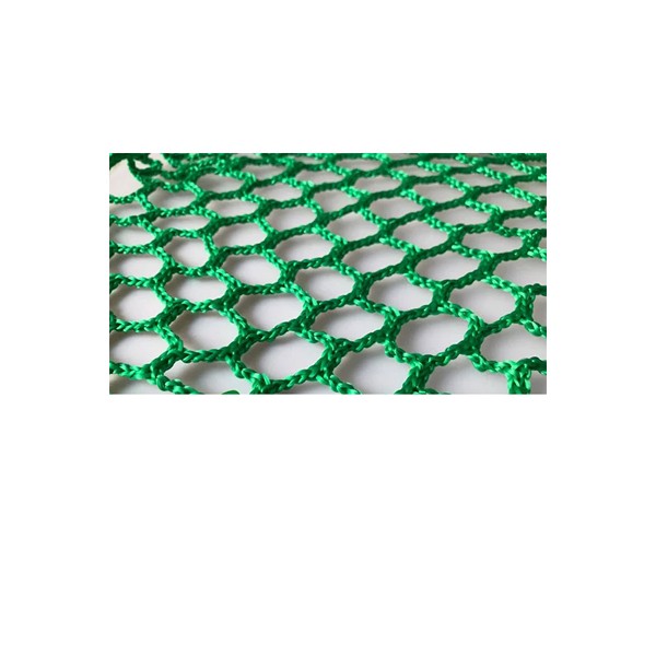 Lưới an toàn Hàn Quốc