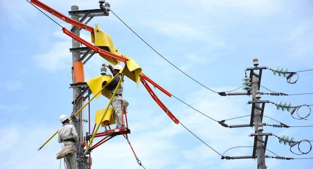 Sào Thao Tác Điện Nhật Quang 